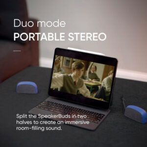 Bluetooth SpeakerBuds1.jpg