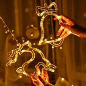 Festoon String Light Fairy Christmas 20227.jpg