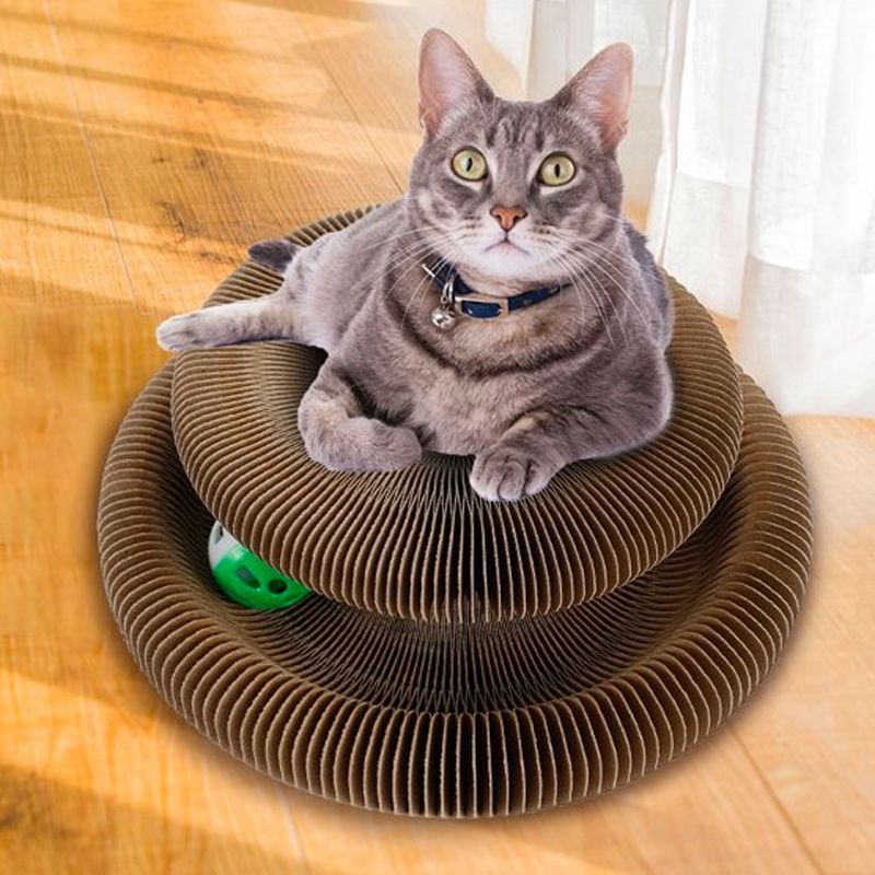 Cat Scratching Toy1.jpg