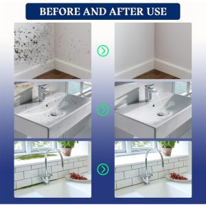 Mold Remover Spray_0002_Layer 9.jpg