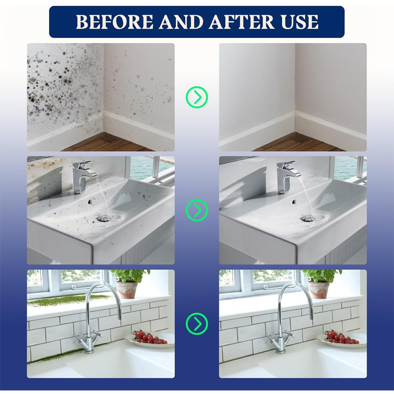 Mold Remover Spray_0002_Layer 9.jpg