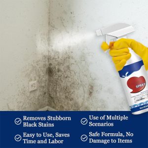 Mold Remover Spray_0003_Layer 8.jpg