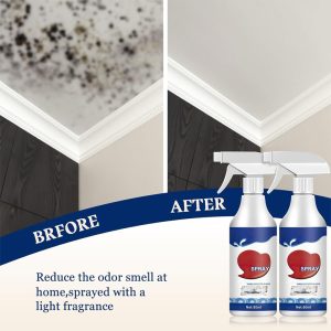 Mold Remover Spray_0005_Layer 6.jpg