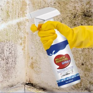 Mold Remover Spray_0006_Layer 5.jpg