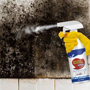 Mold Remover Spray_0007_Layer 4.jpg