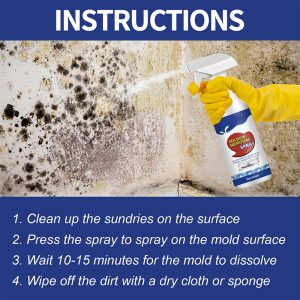 Mold Remover Spray_0013_4_38229bda-9057-4e2a-8e01-b56bcc569678.jpg
