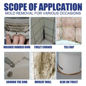 Mold Remover Spray_0014_3_fedf6f19-56e9-40fa-8b82-b4114f350613.jpg
