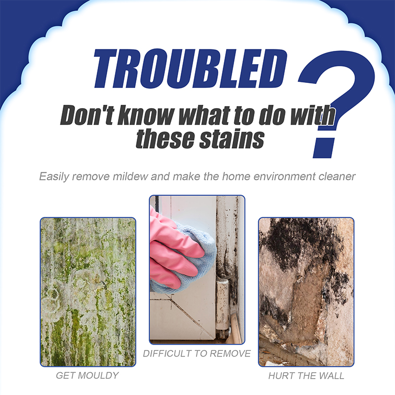 Mold Remover Spray_0015_2_ddccb2d9-6237-474b-a57b-a1dec40fbbce.jpg